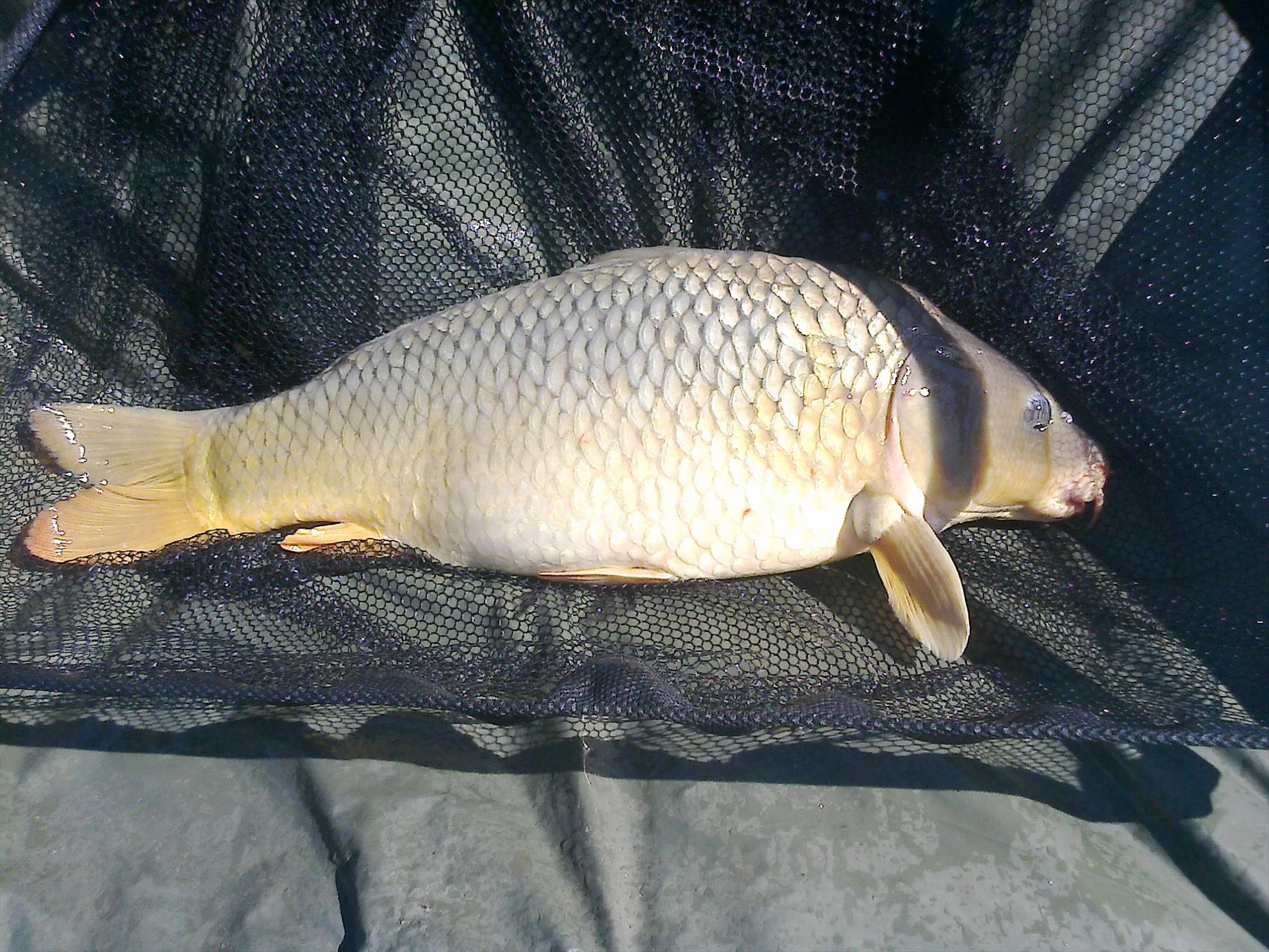 MV 2 - 25.SEPT.2014 - fotografie0018.jpg